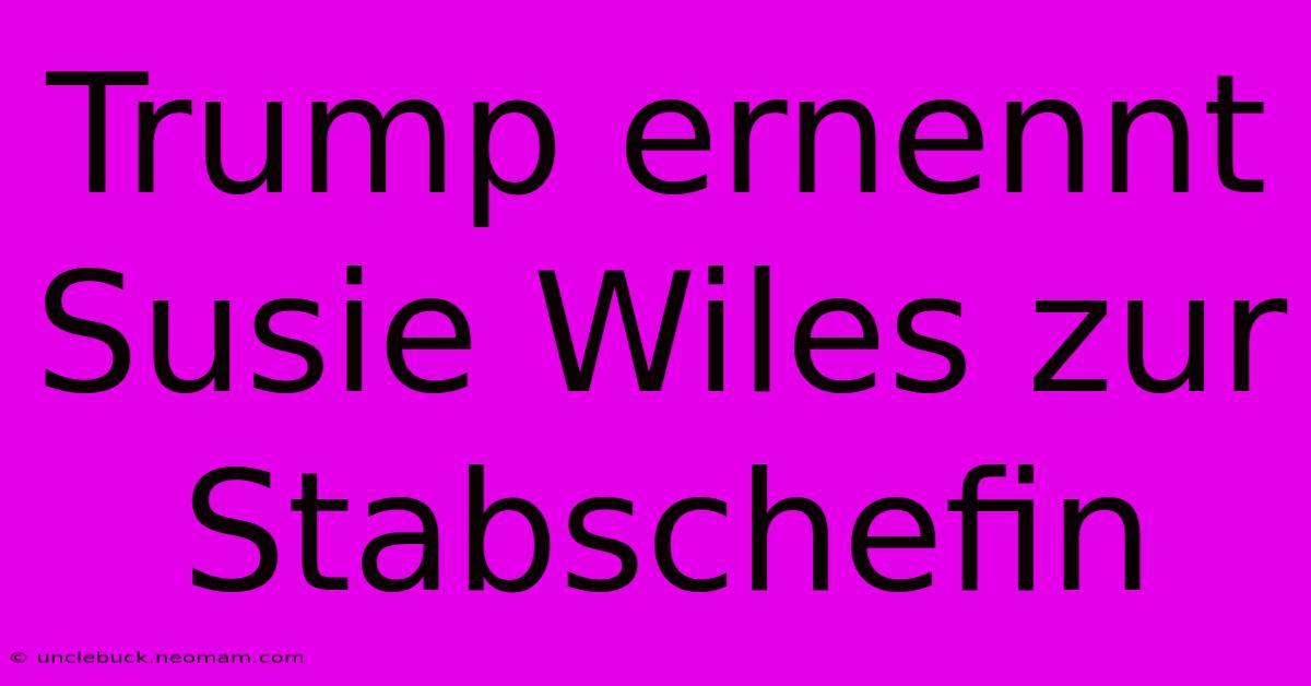 Trump Ernennt Susie Wiles Zur Stabschefin