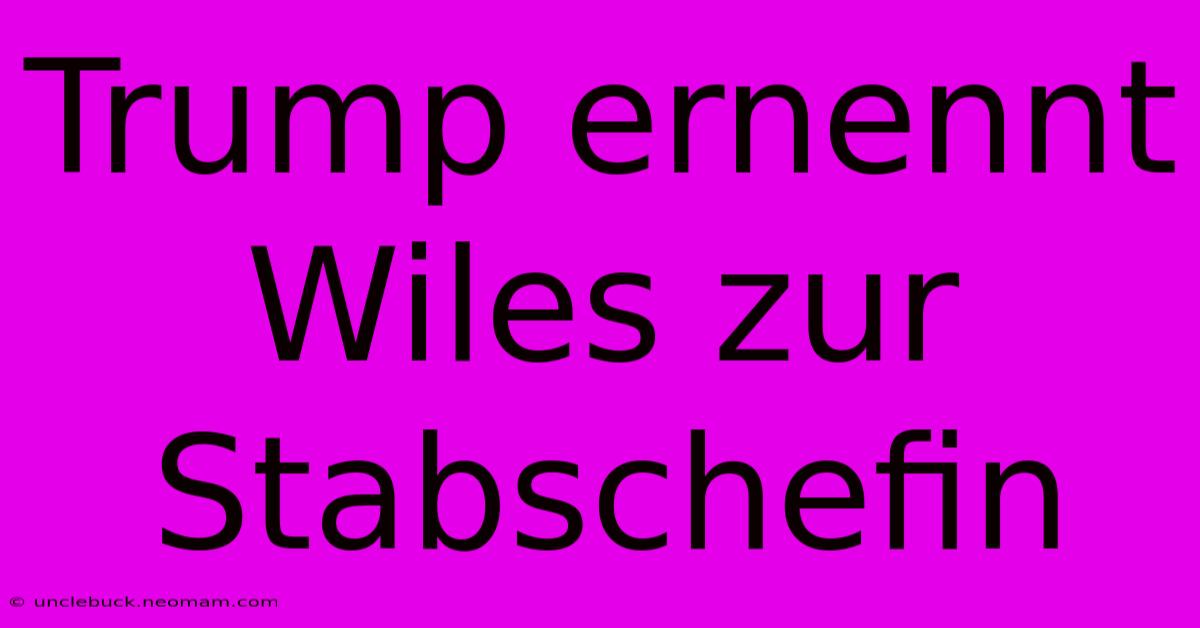 Trump Ernennt Wiles Zur Stabschefin