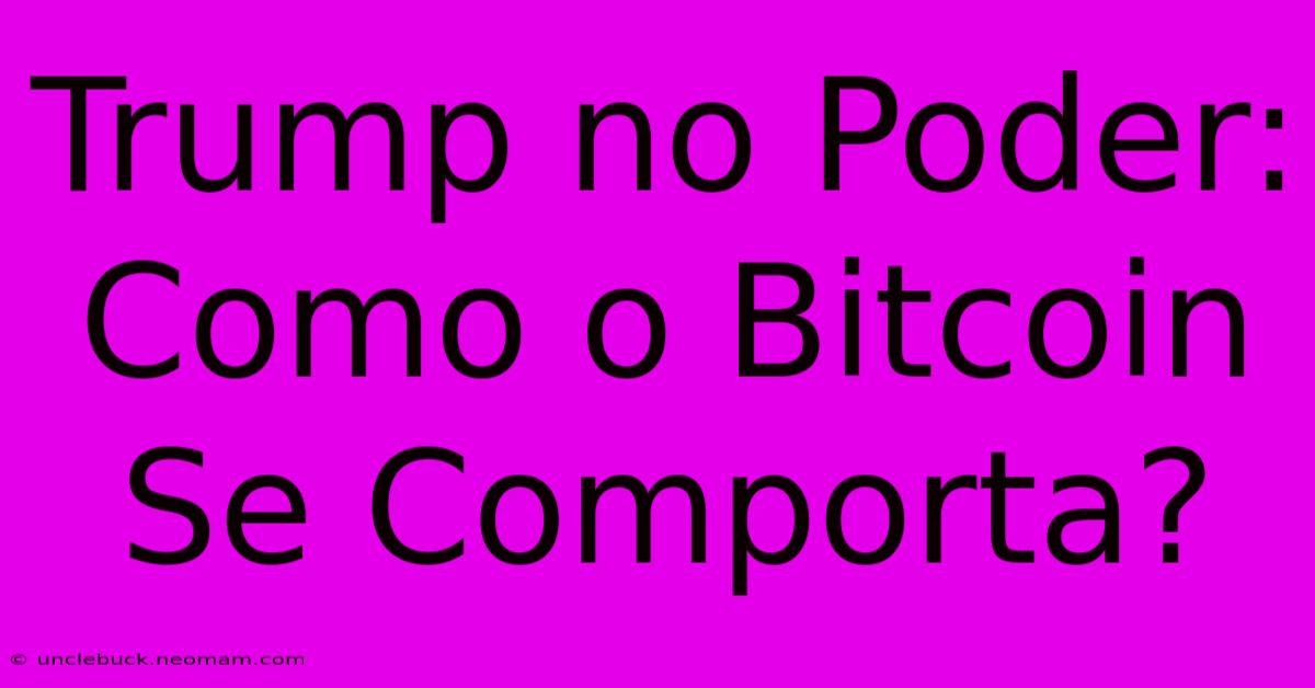 Trump No Poder: Como O Bitcoin Se Comporta? 