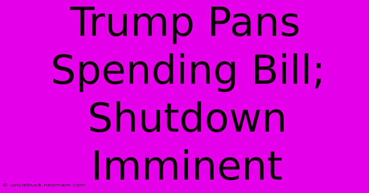 Trump Pans Spending Bill; Shutdown Imminent