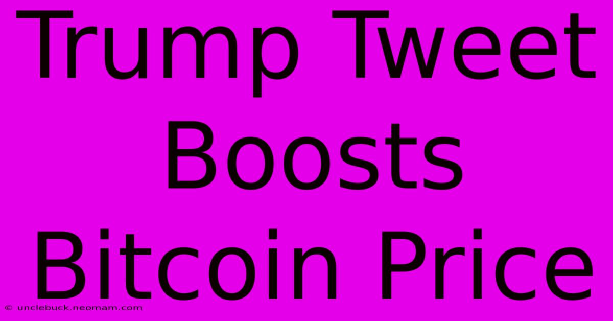 Trump Tweet Boosts Bitcoin Price 