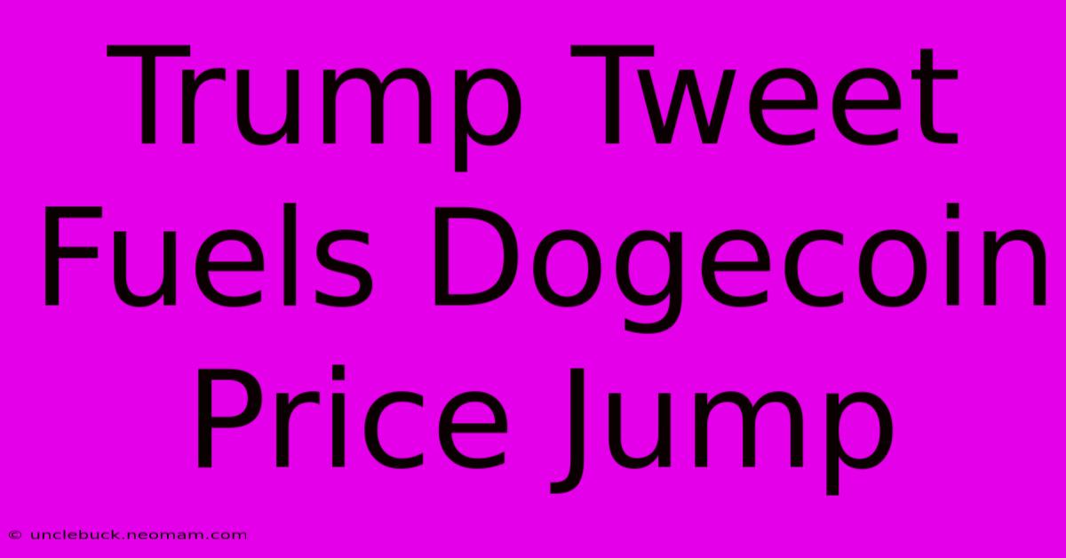 Trump Tweet Fuels Dogecoin Price Jump