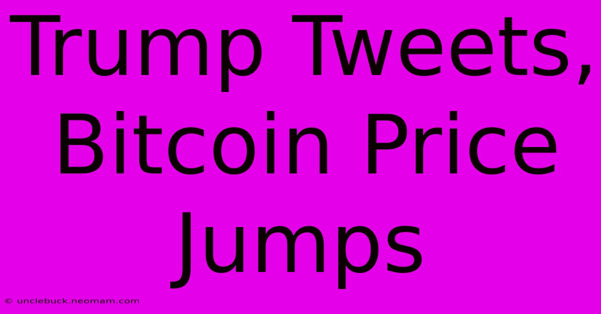 Trump Tweets, Bitcoin Price Jumps