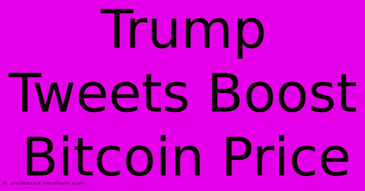 Trump Tweets Boost Bitcoin Price