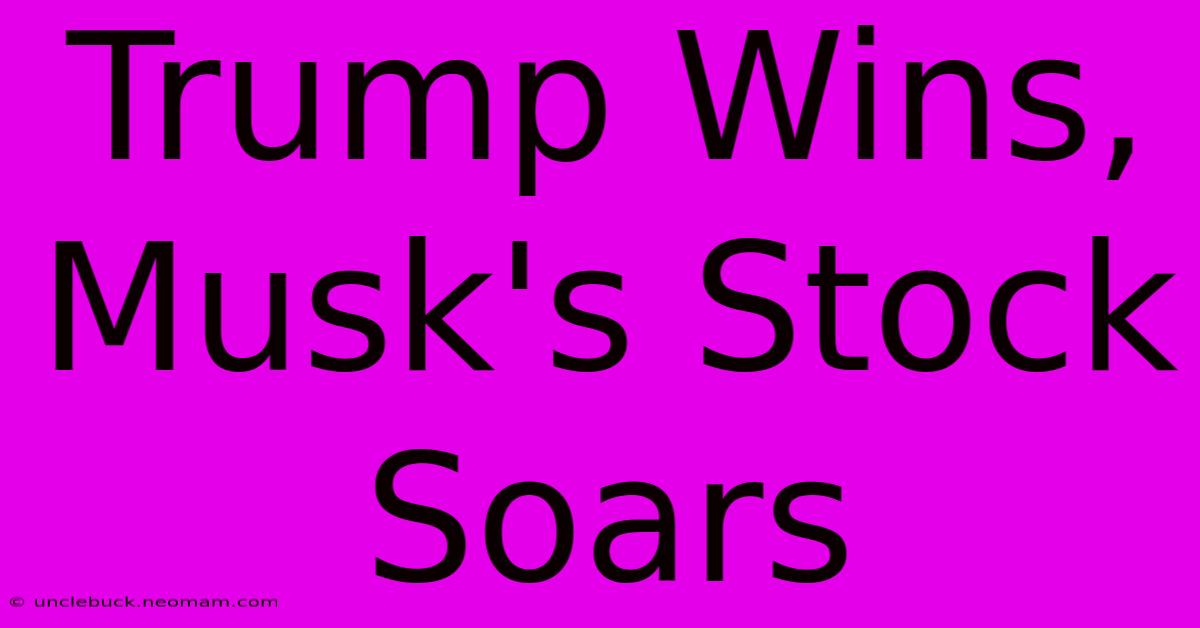 Trump Wins, Musk's Stock Soars 