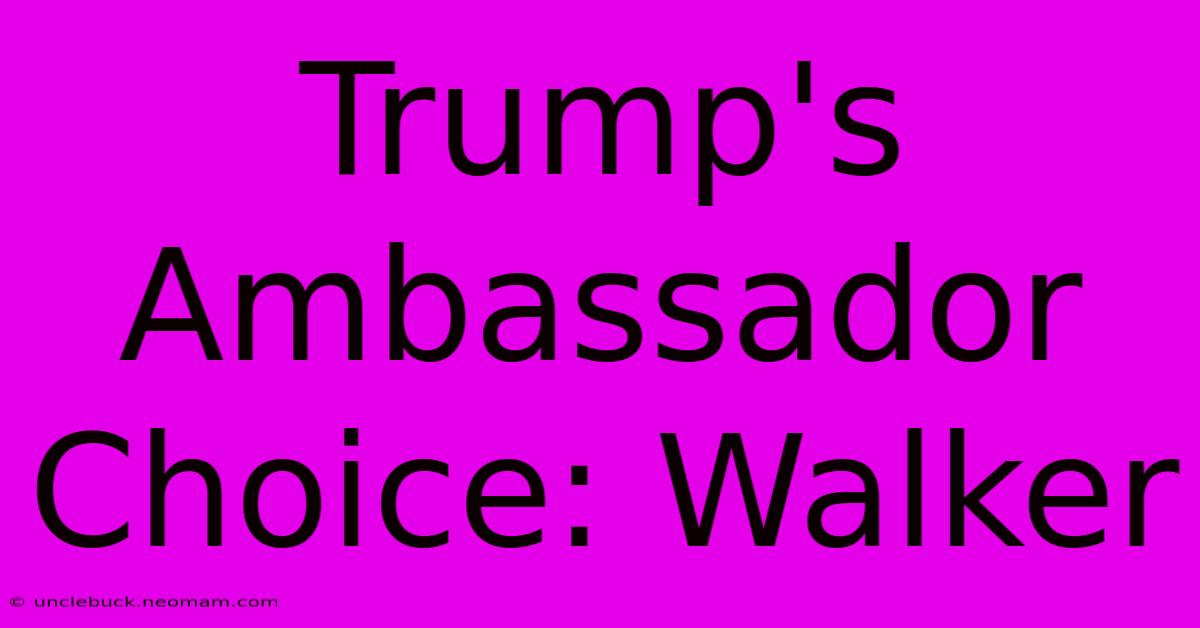 Trump's Ambassador Choice: Walker