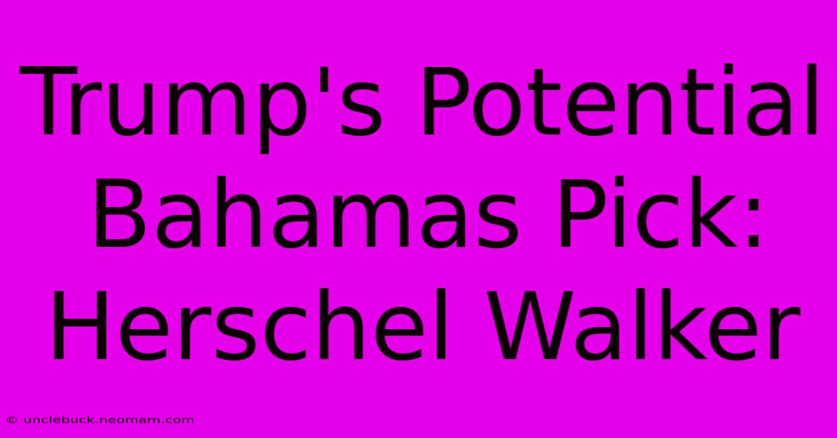 Trump's Potential Bahamas Pick: Herschel Walker