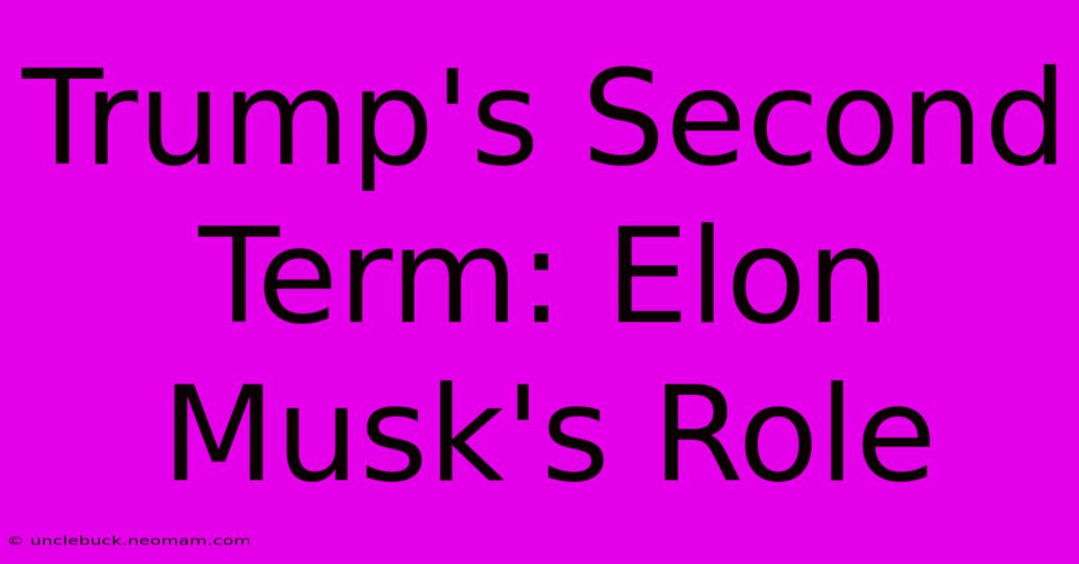 Trump's Second Term: Elon Musk's Role