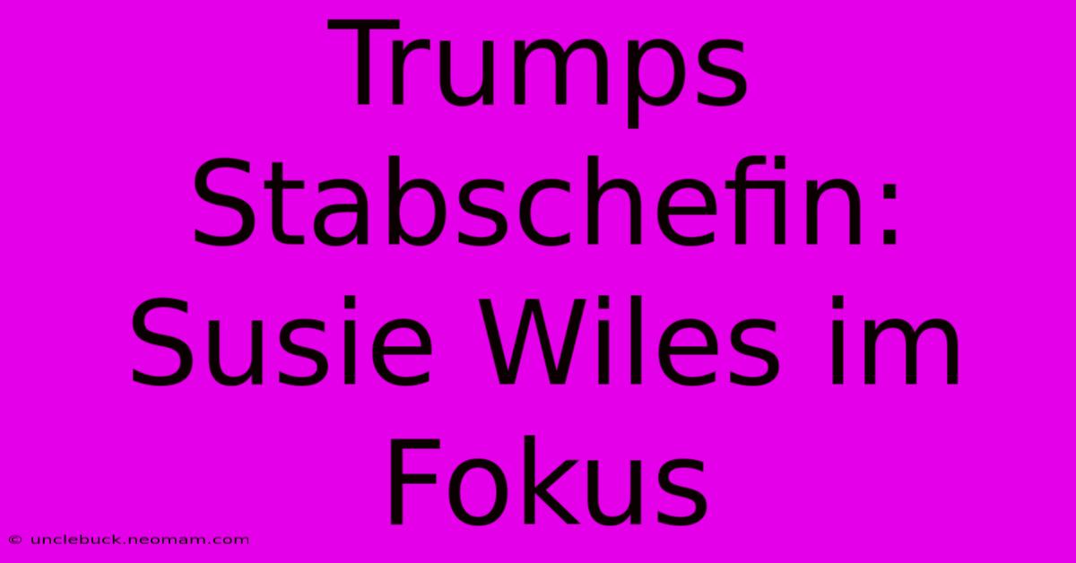 Trumps Stabschefin: Susie Wiles Im Fokus