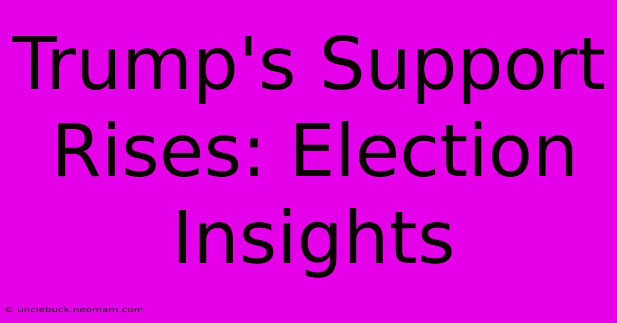 Trump's Support Rises: Election Insights