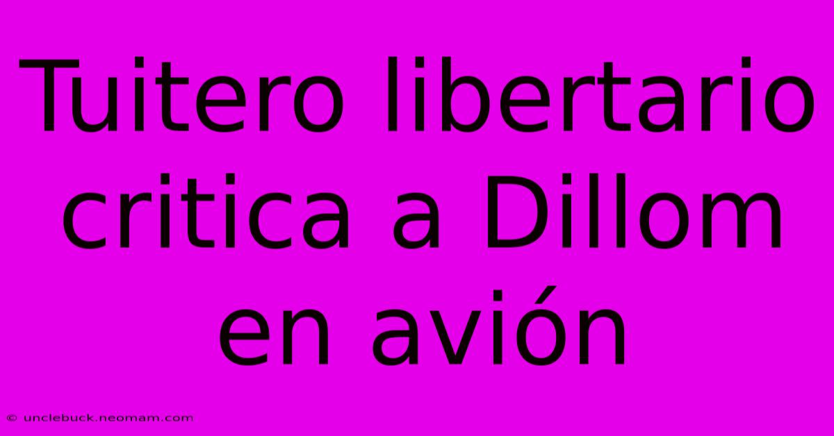 Tuitero Libertario Critica A Dillom En Avión