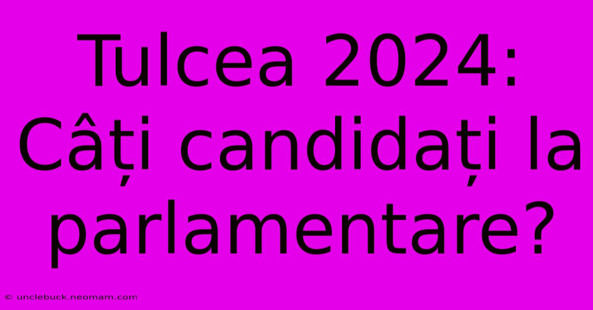 Tulcea 2024: Câți Candidați La Parlamentare?