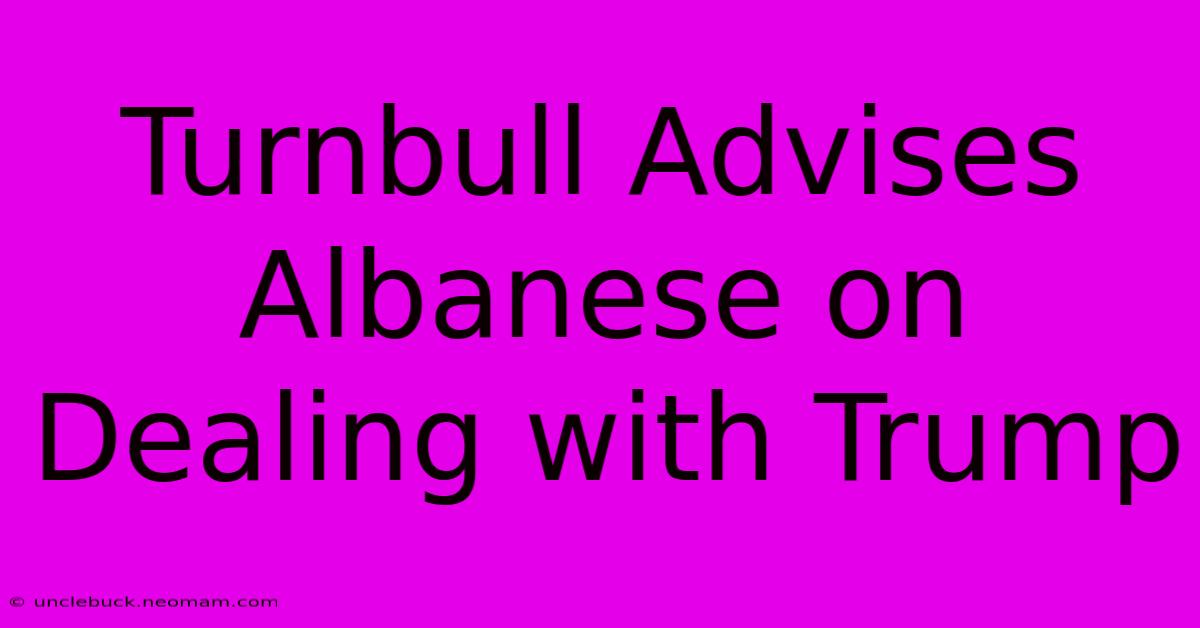 Turnbull Advises Albanese On Dealing With Trump