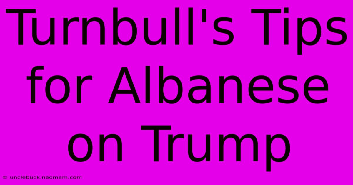 Turnbull's Tips For Albanese On Trump