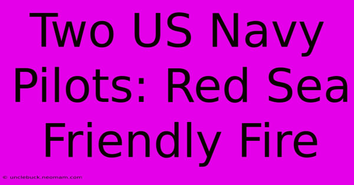 Two US Navy Pilots: Red Sea Friendly Fire