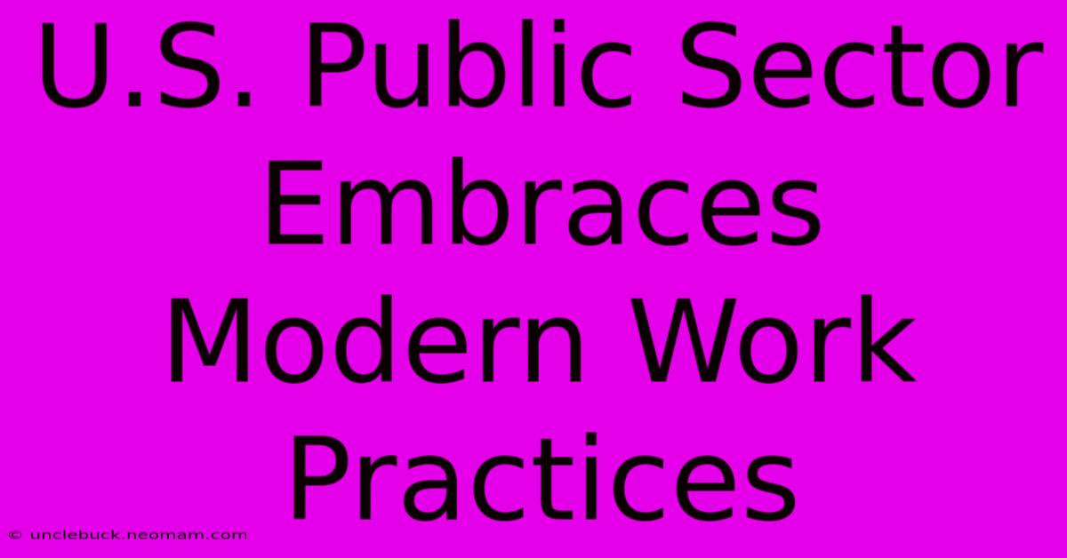 U.S. Public Sector Embraces Modern Work Practices