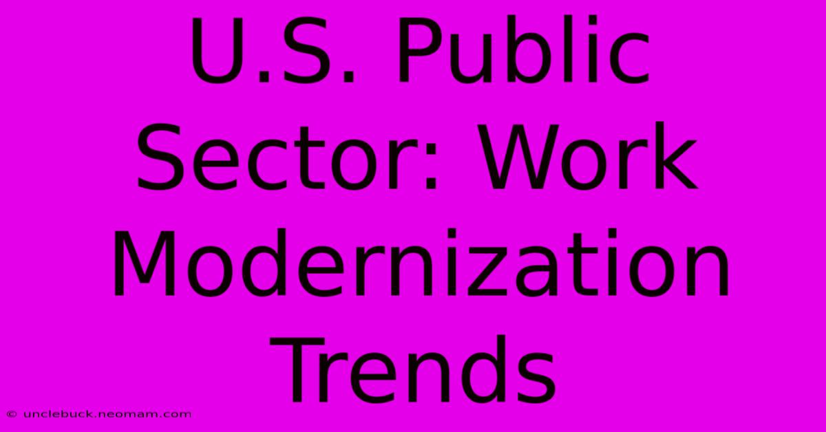 U.S. Public Sector: Work Modernization Trends 