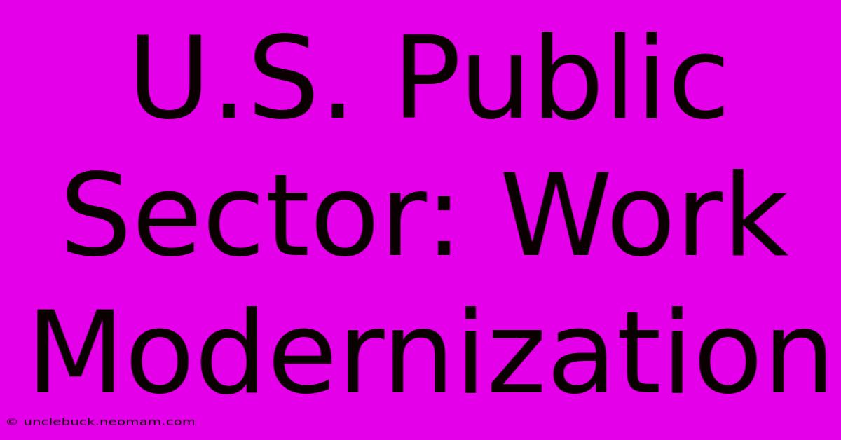 U.S. Public Sector: Work Modernization 