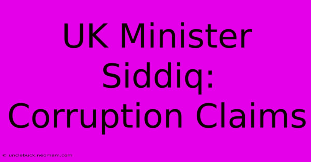 UK Minister Siddiq: Corruption Claims