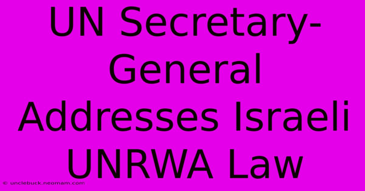 UN Secretary-General Addresses Israeli UNRWA Law 