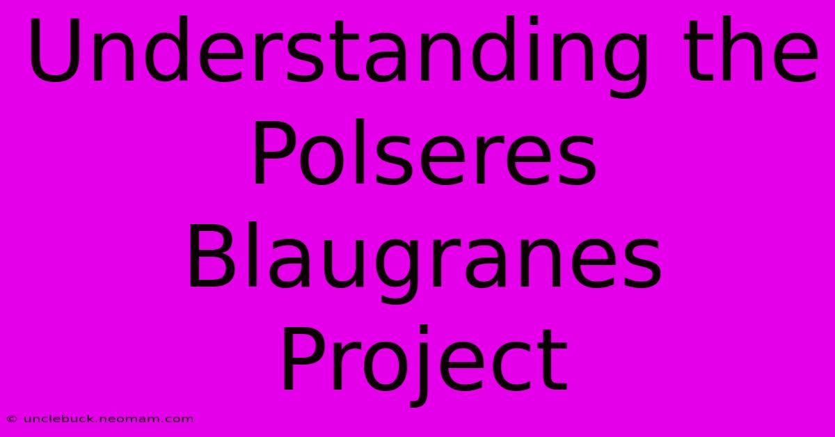 Understanding The Polseres Blaugranes Project