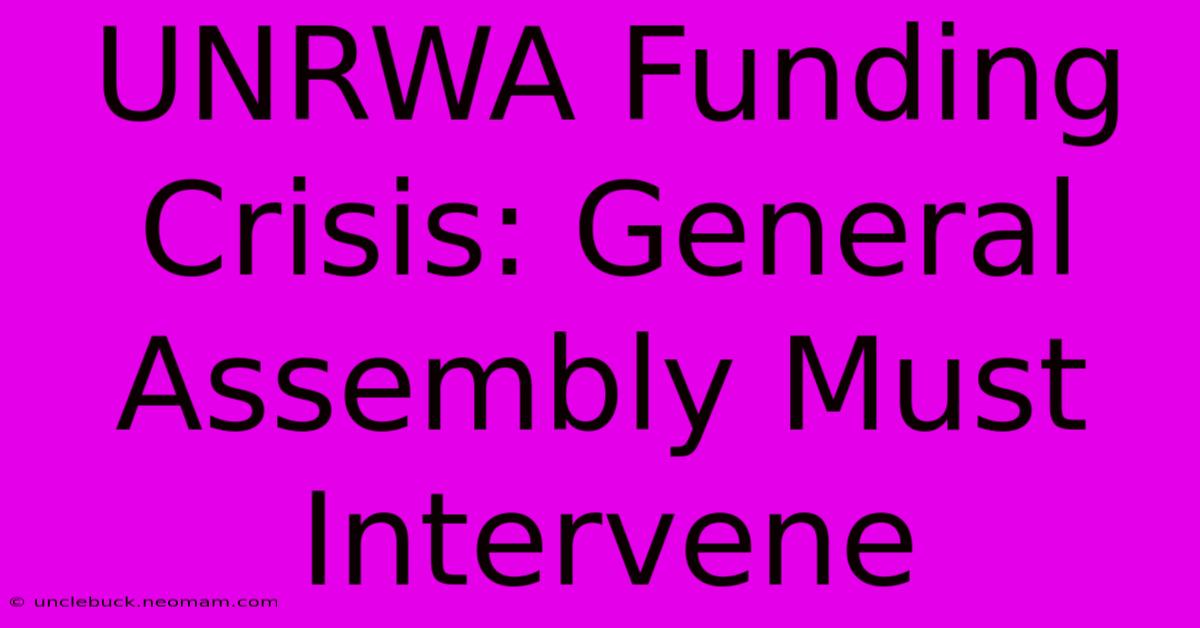 UNRWA Funding Crisis: General Assembly Must Intervene