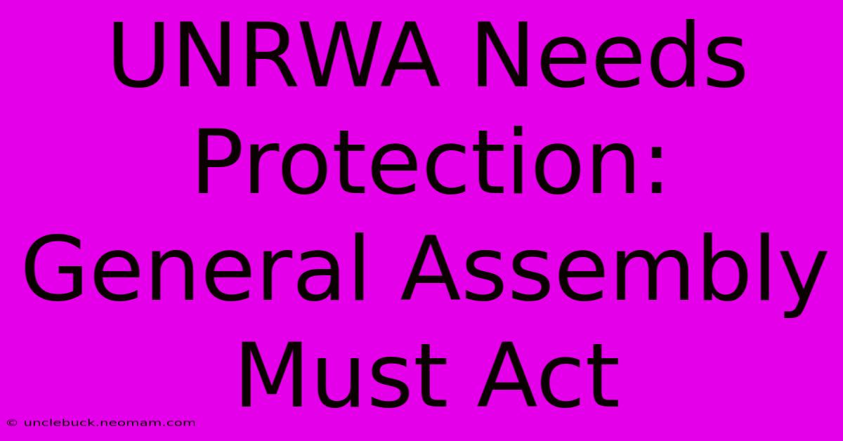 UNRWA Needs Protection: General Assembly Must Act