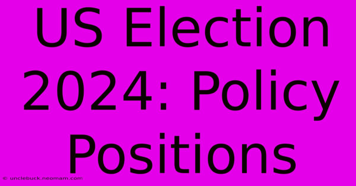 US Election 2024: Policy Positions