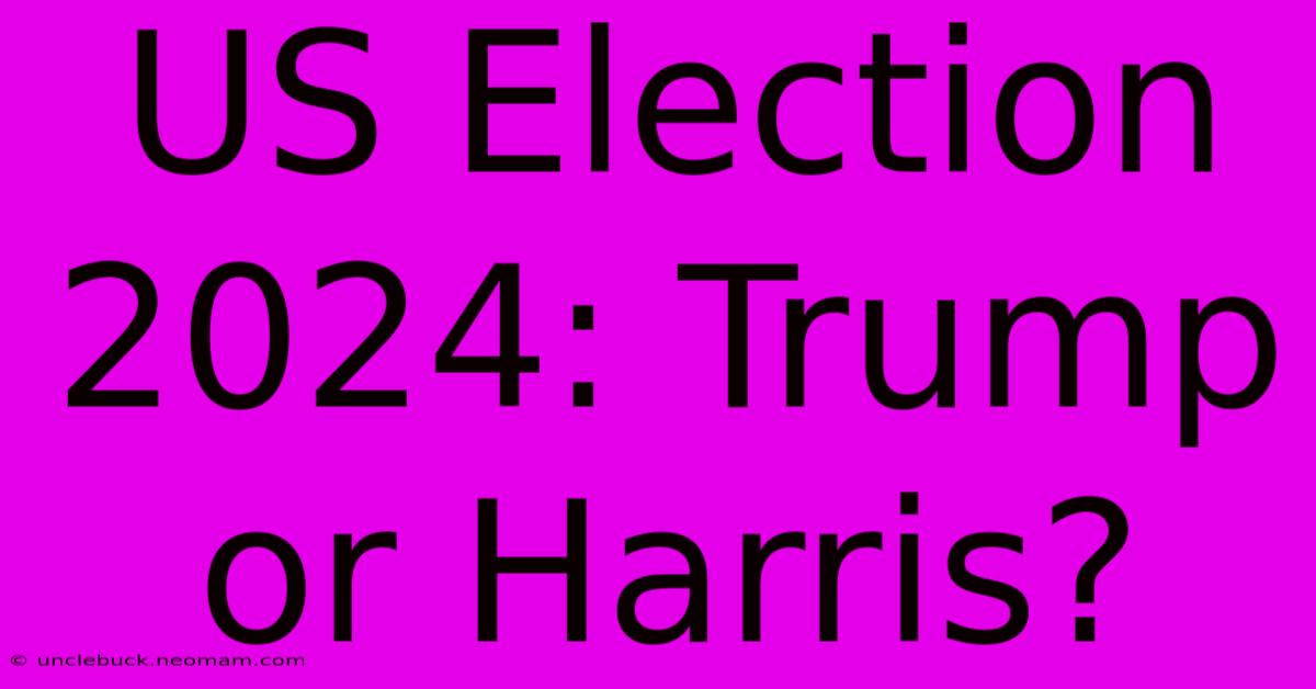 US Election 2024: Trump Or Harris?