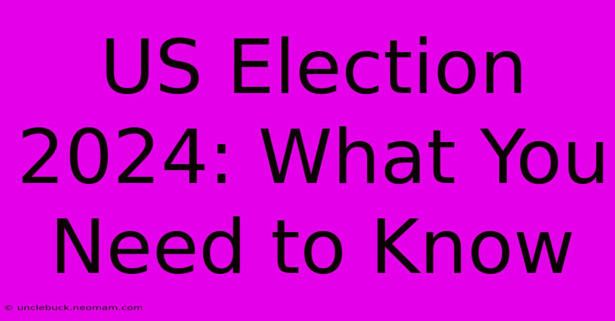 US Election 2024: What You Need To Know