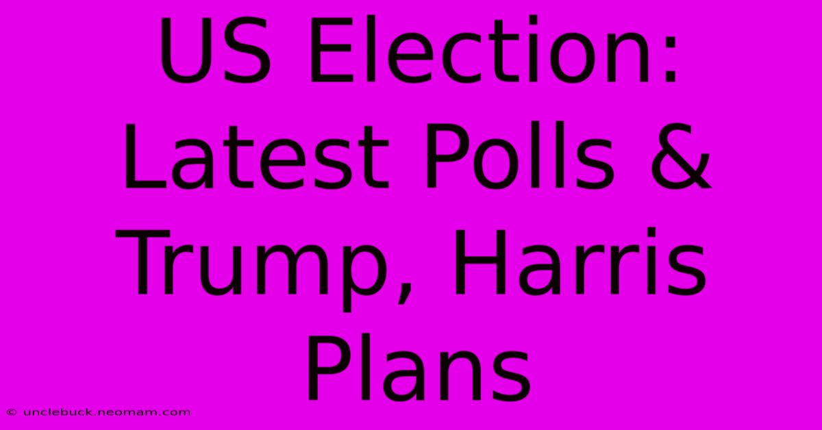 US Election: Latest Polls & Trump, Harris Plans