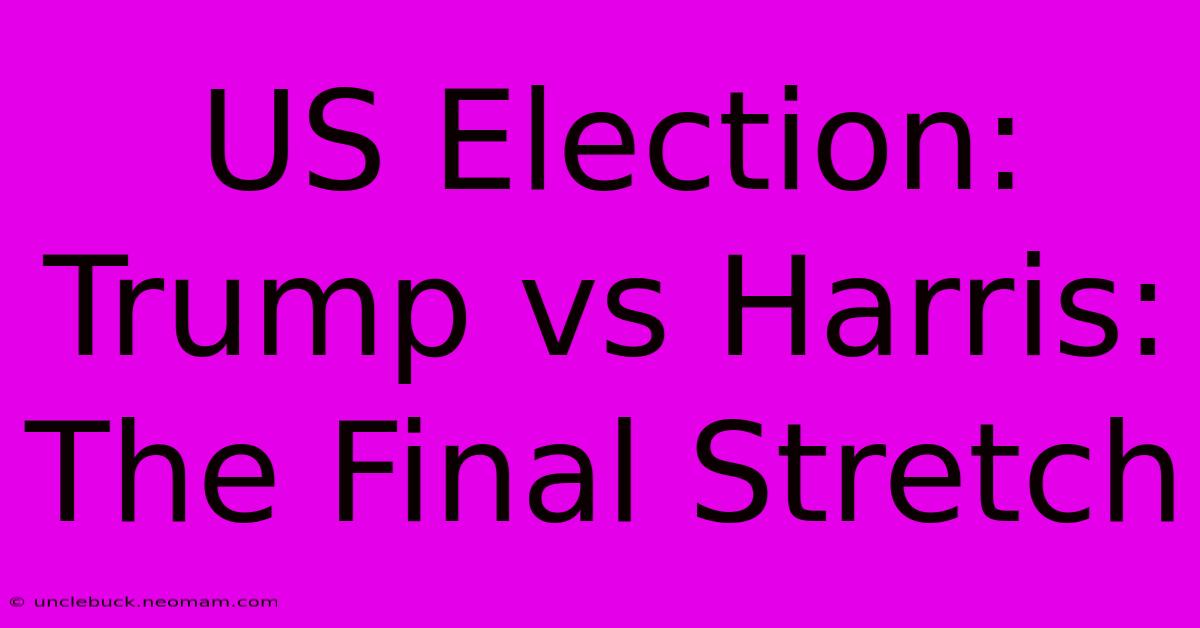 US Election: Trump Vs Harris: The Final Stretch 