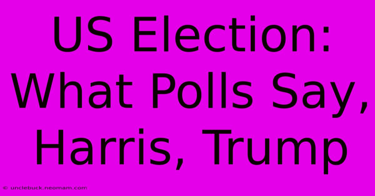 US Election: What Polls Say, Harris, Trump