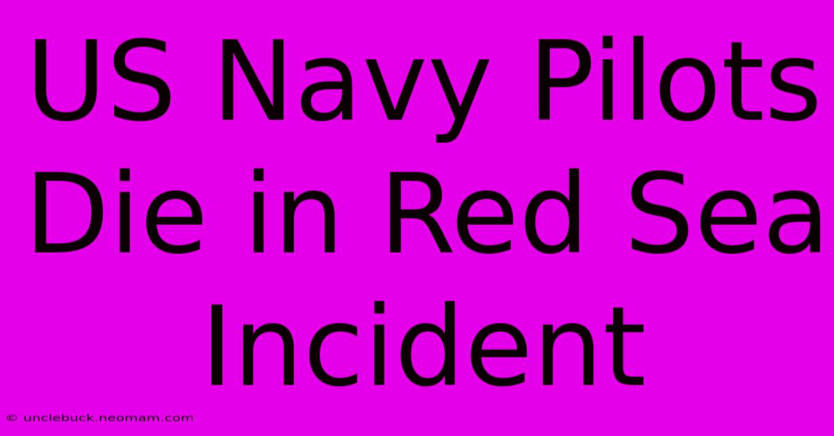 US Navy Pilots Die In Red Sea Incident