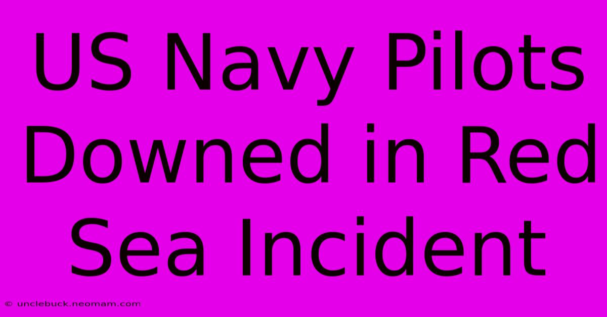 US Navy Pilots Downed In Red Sea Incident