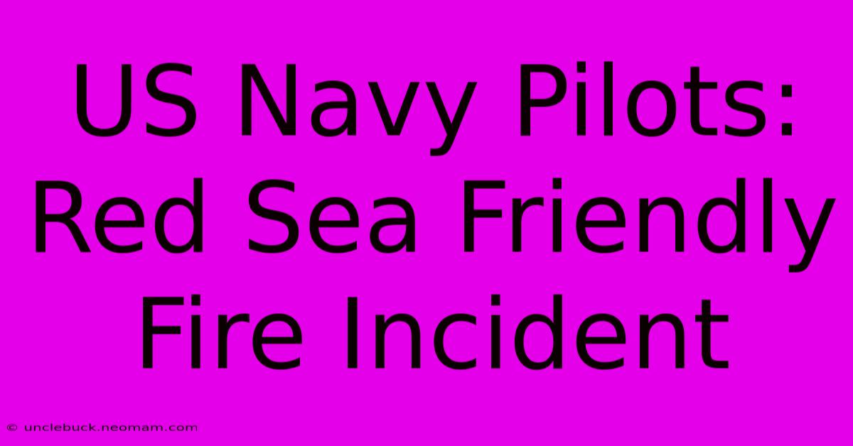 US Navy Pilots: Red Sea Friendly Fire Incident