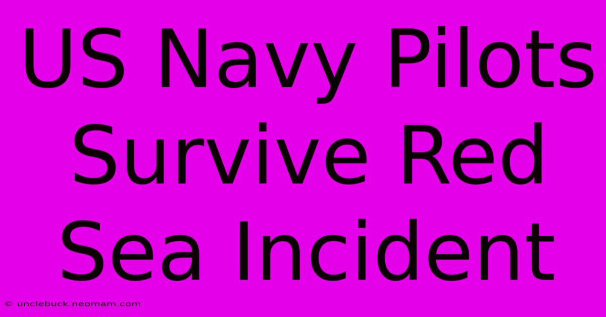 US Navy Pilots Survive Red Sea Incident