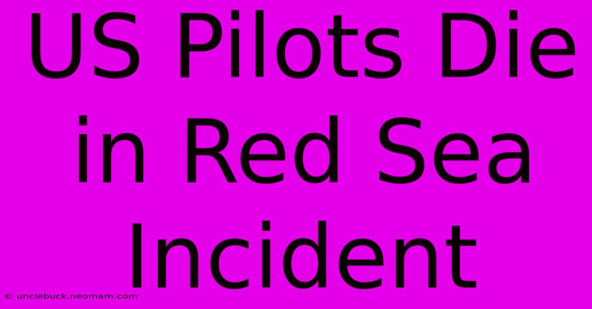 US Pilots Die In Red Sea Incident