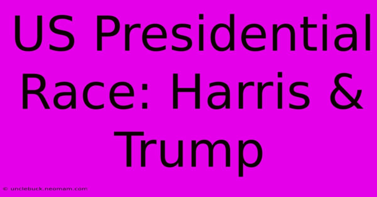 US Presidential Race: Harris & Trump