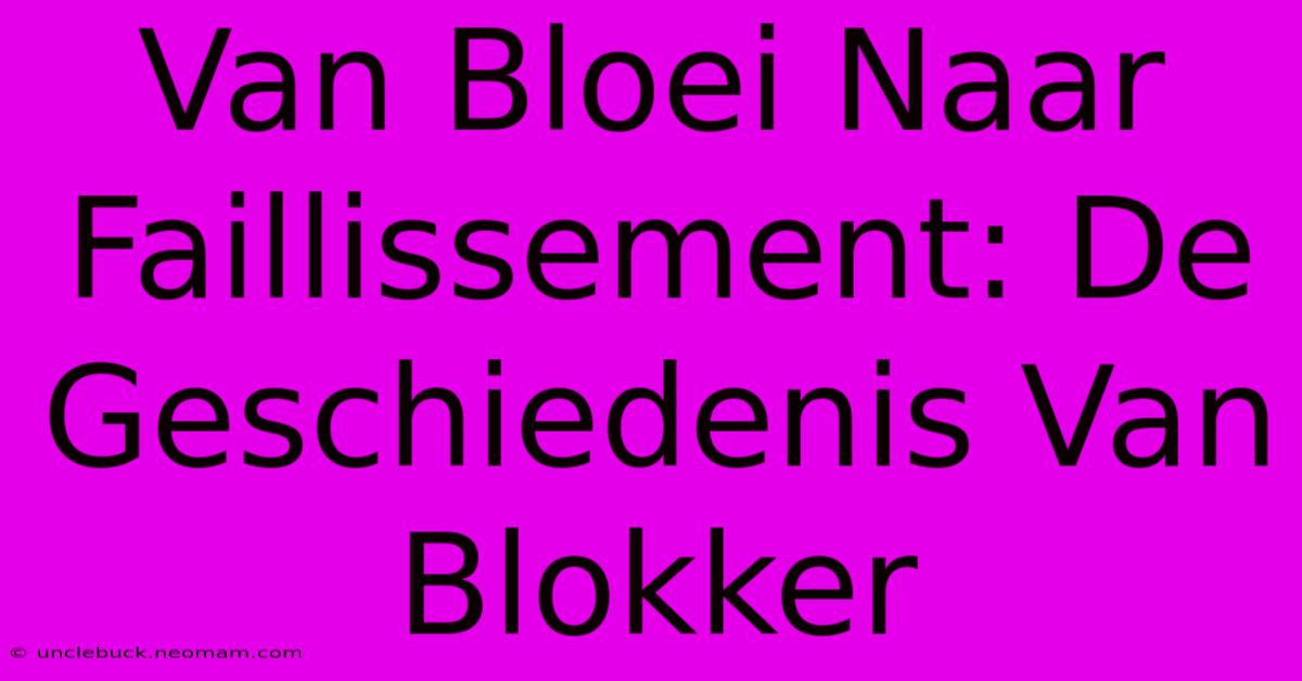 Van Bloei Naar Faillissement: De Geschiedenis Van Blokker 