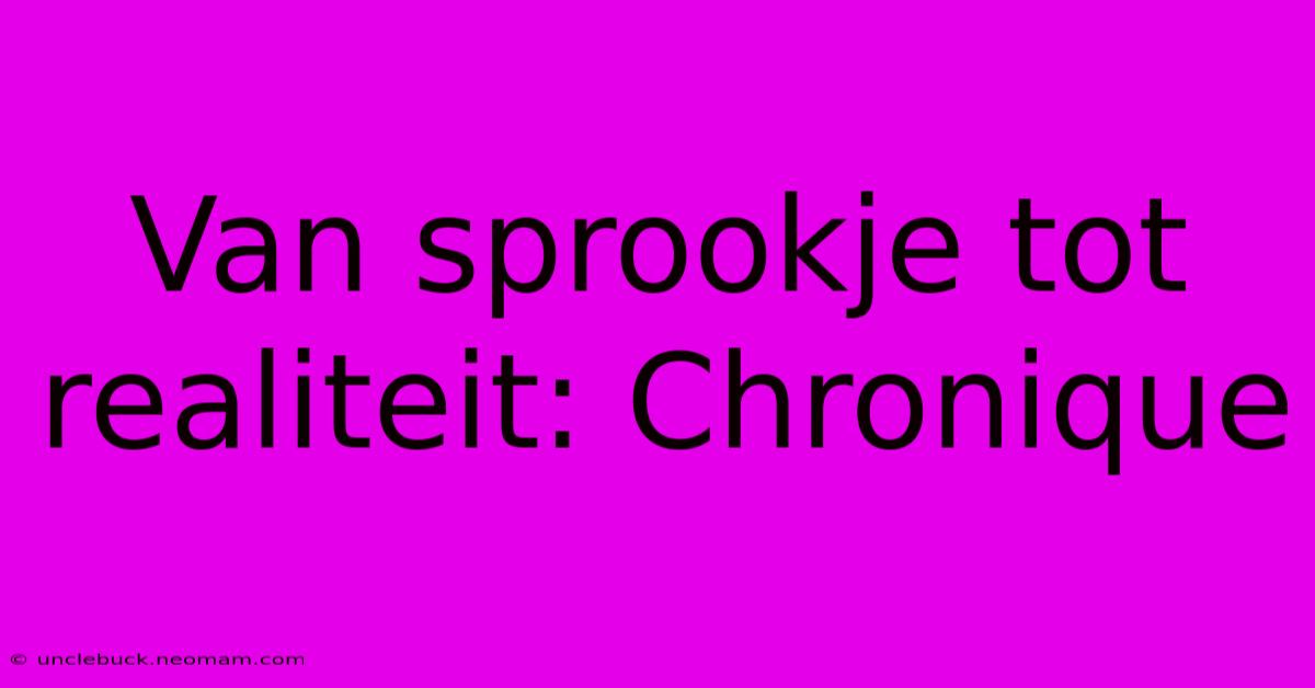 Van Sprookje Tot Realiteit: Chronique 