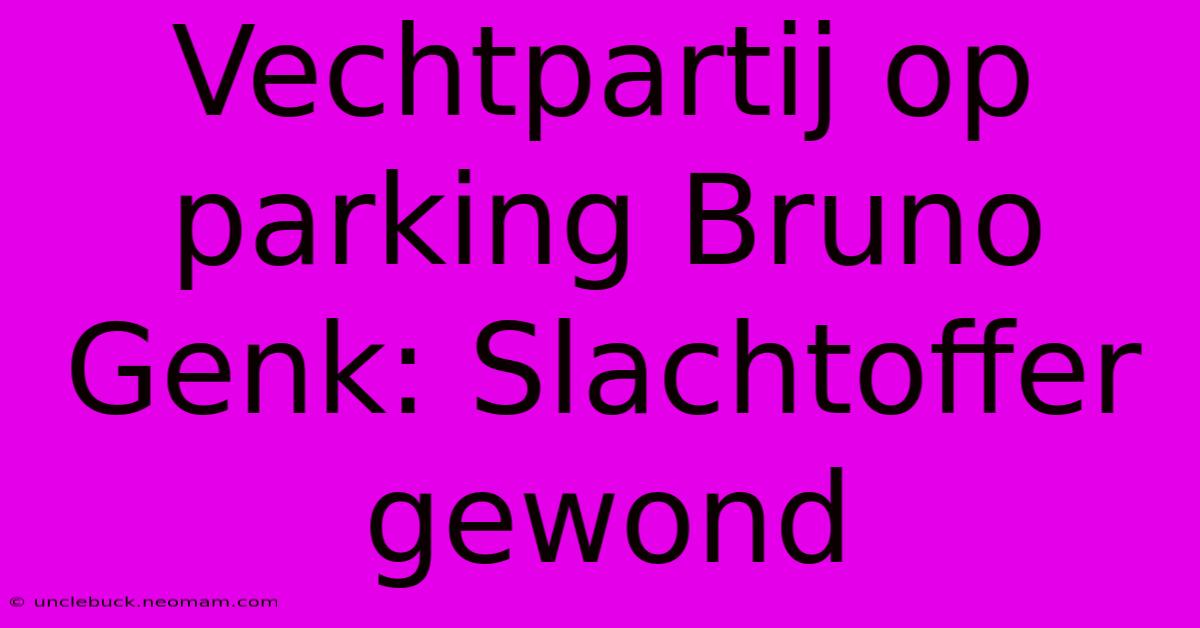 Vechtpartij Op Parking Bruno Genk: Slachtoffer Gewond