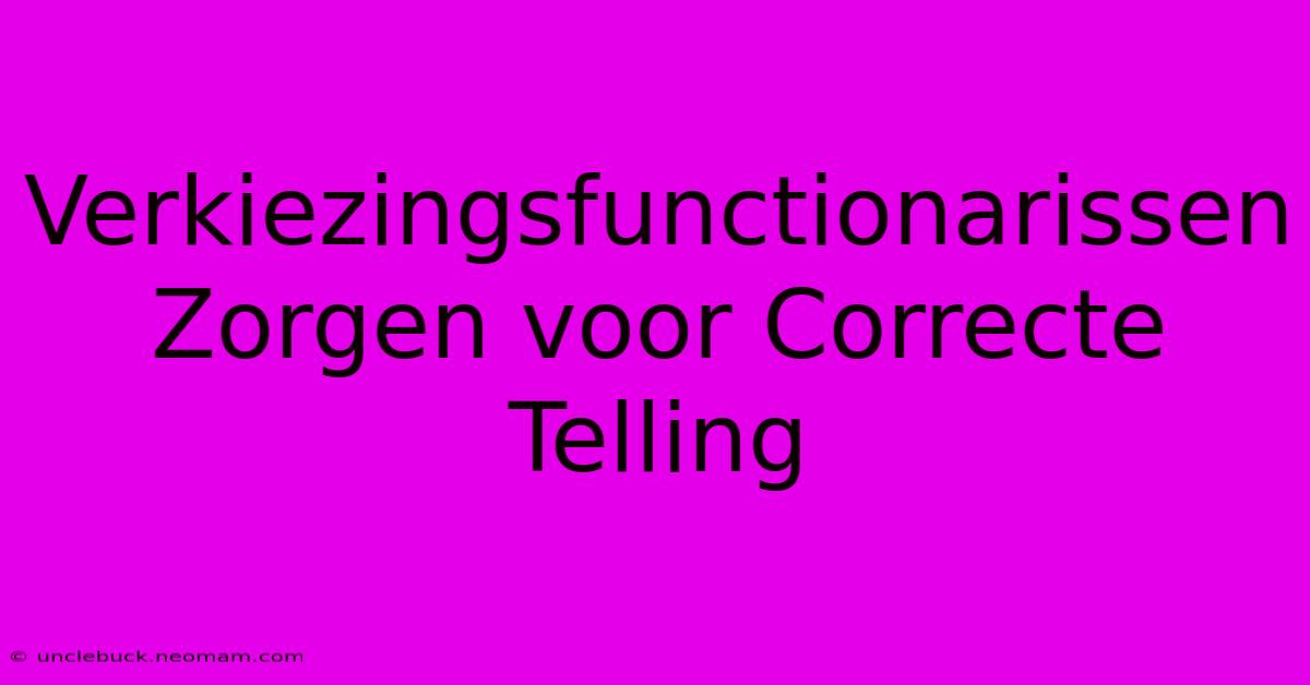 Verkiezingsfunctionarissen Zorgen Voor Correcte Telling