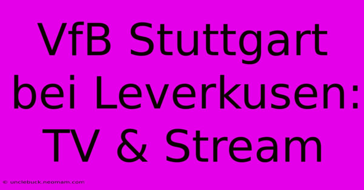 VfB Stuttgart Bei Leverkusen: TV & Stream