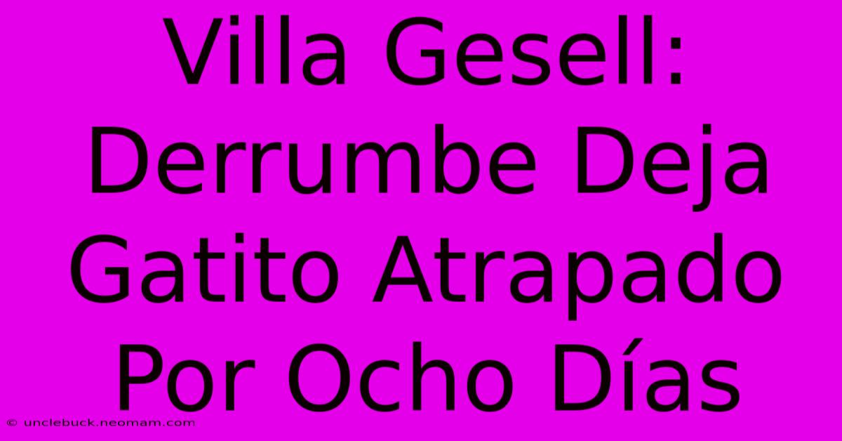 Villa Gesell: Derrumbe Deja Gatito Atrapado Por Ocho Días 