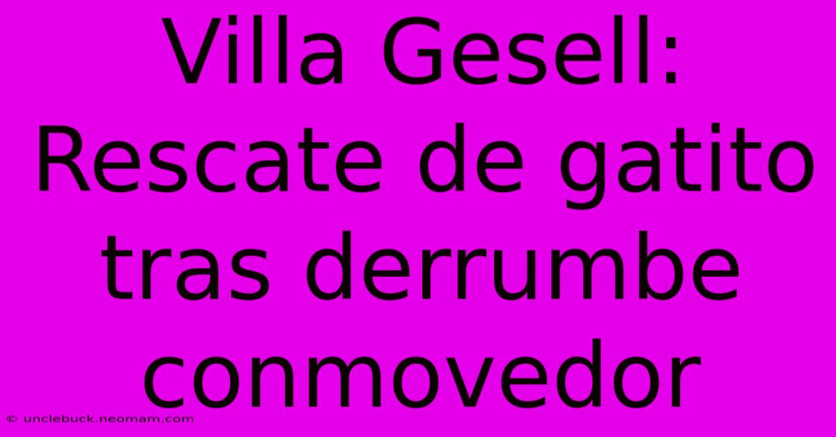 Villa Gesell: Rescate De Gatito Tras Derrumbe Conmovedor 