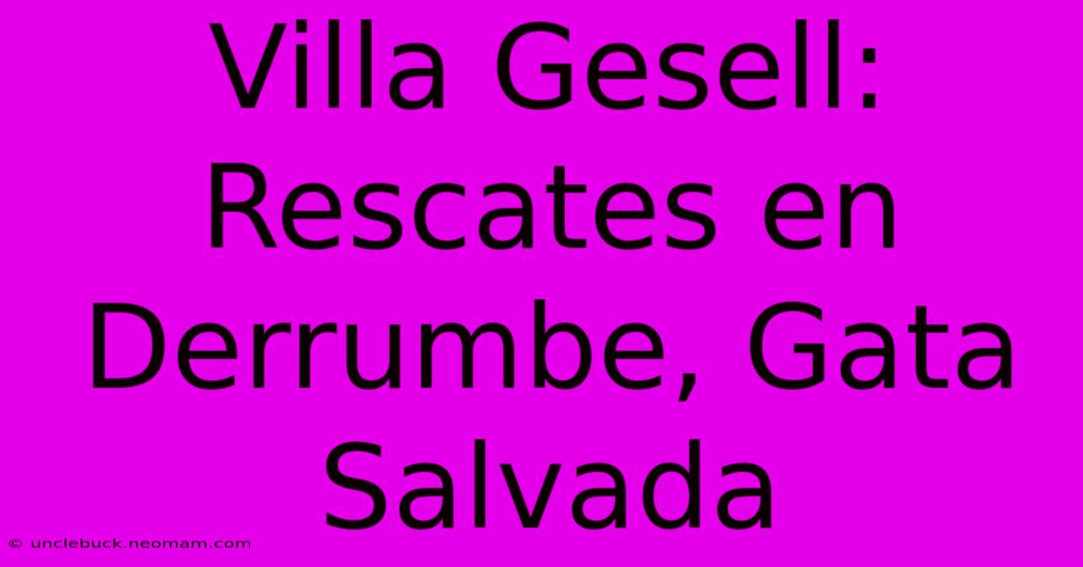 Villa Gesell: Rescates En Derrumbe, Gata Salvada