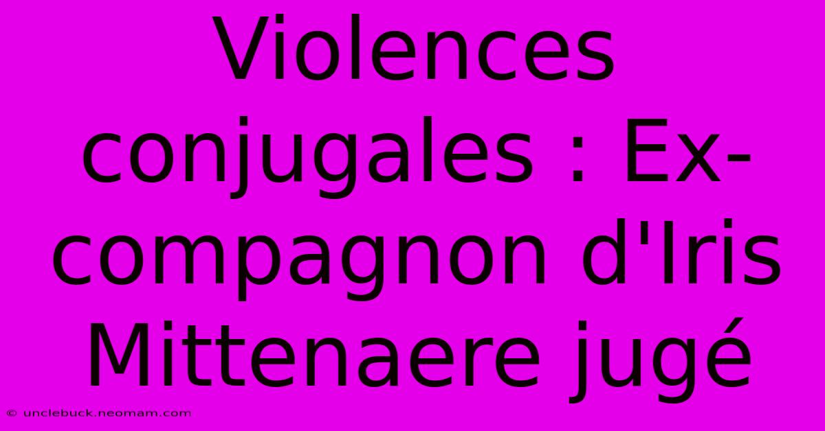 Violences Conjugales : Ex-compagnon D'Iris Mittenaere Jugé