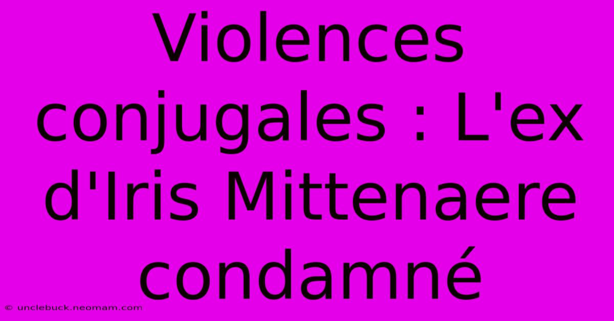 Violences Conjugales : L'ex D'Iris Mittenaere Condamné