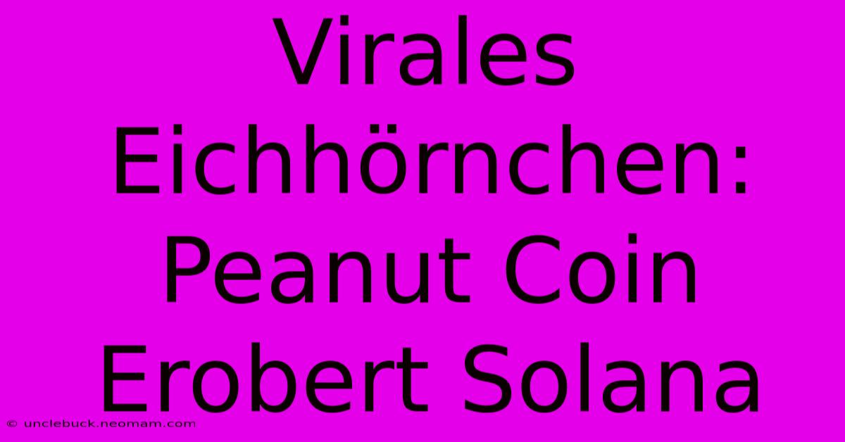 Virales Eichhörnchen: Peanut Coin Erobert Solana